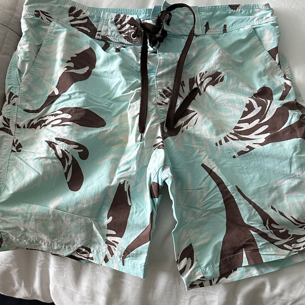 Men's Aqua and Brown Swim Shorts